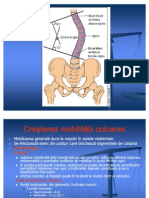 Metoda KLAPP PT Scolioze PDF