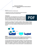 Guia Imprimirr PDF