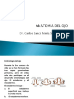 1.-Anatomia Del Ojo