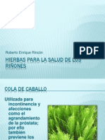 Hierbas para la salud de los riñones.pptx