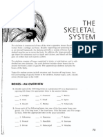 Ch5 Skeletal Workbook