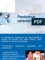 fenmenos-cadavricos-1216617998004263-8.ppt