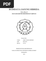 Download Budidaya Jagung Hibrida  by arsyyulifa SN244191753 doc pdf