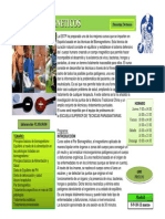CURSO_PARES_BIOMAGNETICOS.pdf