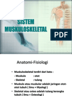 Kul Anatomi Fisiologi Muskuloskeletal Dl