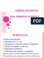 STAPHYLOCOCCUSF