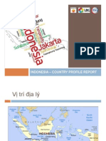 INDONESIA - COUNTRY PROFILE REPORT (17.9) (Compatibility Mode) PDF