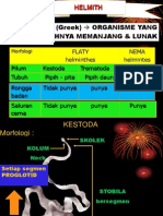 Kestoda2013 2014