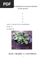 Download LAPORAN BUDIDAYA TANAMAN BAYAM MERAH DI DALAM POTdocx by Kadek Dea W SN244214471 doc pdf