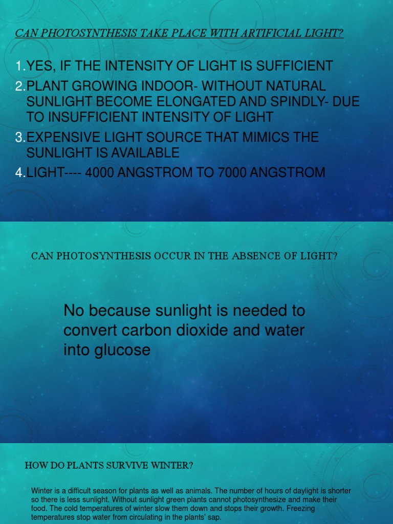 Photosynthesis with Artificial Light | PDF | Plants | Photosynthesis