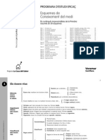 Esquemes de 4t Primaria Medi PDF