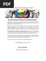 Download Journal de lAfrique n3 by Investigaction SN244251941 doc pdf