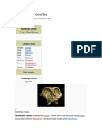 Artikel Paranthropus Robustus