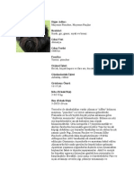 Affenpinscher PDF
