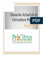 SERGIO_DEL_CASTILLO.pdf