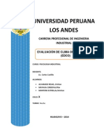 informe psicologia.docx