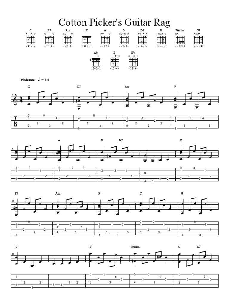 Cotton Picker's Guitar Rag Loisirs