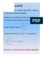 _determinantes.pdf