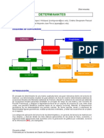 Determinantes.pdf
