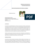 Entrenamiento Tactica PDF