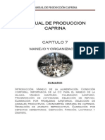Capitulo 7 Manejo y Organizacion PDF