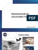 Muros Puentes TDM.pdf
