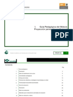 Guiasproyeccionpersonalprofesio.pdf