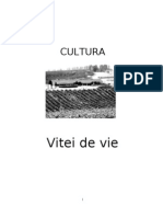 Cultura Vitei de Vie