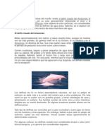 Documento Sobre Los Delfines