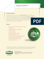 Magnum FastBall PDF