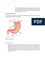 Gastritis Bueeeeeeekkkkkkkkkkkkkkkkkkk