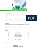 Diplomado de Herramientas Gerenciales PDF