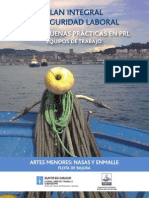 SEGURIDAD EMMAYE Y NASAS.pdf