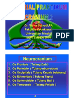 PDF Tutorial Praktikum Cranium 9 2010