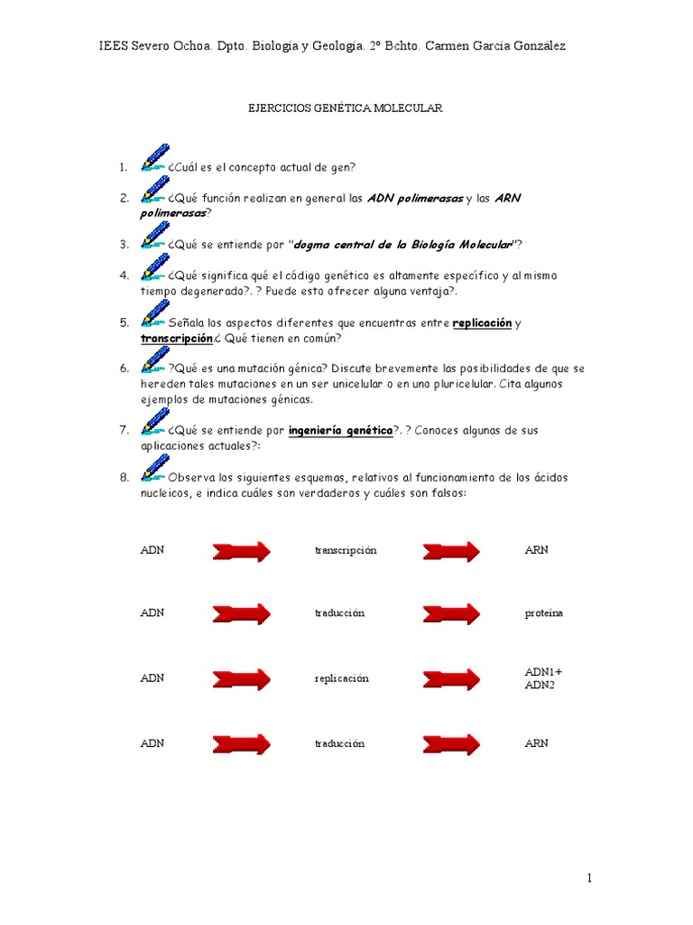 Ejercicios de Genética Molecular | PDF | Adn | Rna