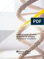 Administracion Eficiente Activos Software PDF