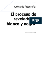 Laboratorio El Revelado PDF