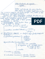 Ţesuturi Vegetale Particularităţi Structu Rale Şi Funcţionale Ale Organelor Vegetativ e