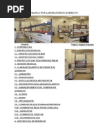 SEGURANÇA NOS LABORATÓRIOS QUÍMICOS.doc