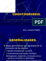 ODONTOGENESIS.ppt