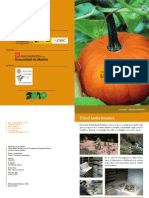 Los_Frutos.pdf