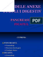 Pancreas Ficat PDF