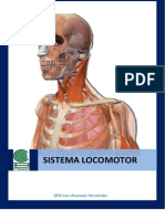 actividades sistema locomotor.pdf