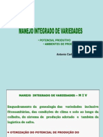 Cana de Acucar - Variedades PDF
