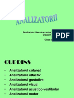 ANALIZATORII