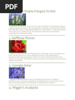 Download Endangered Species by Gogilesh Naidu SN244403490 doc pdf