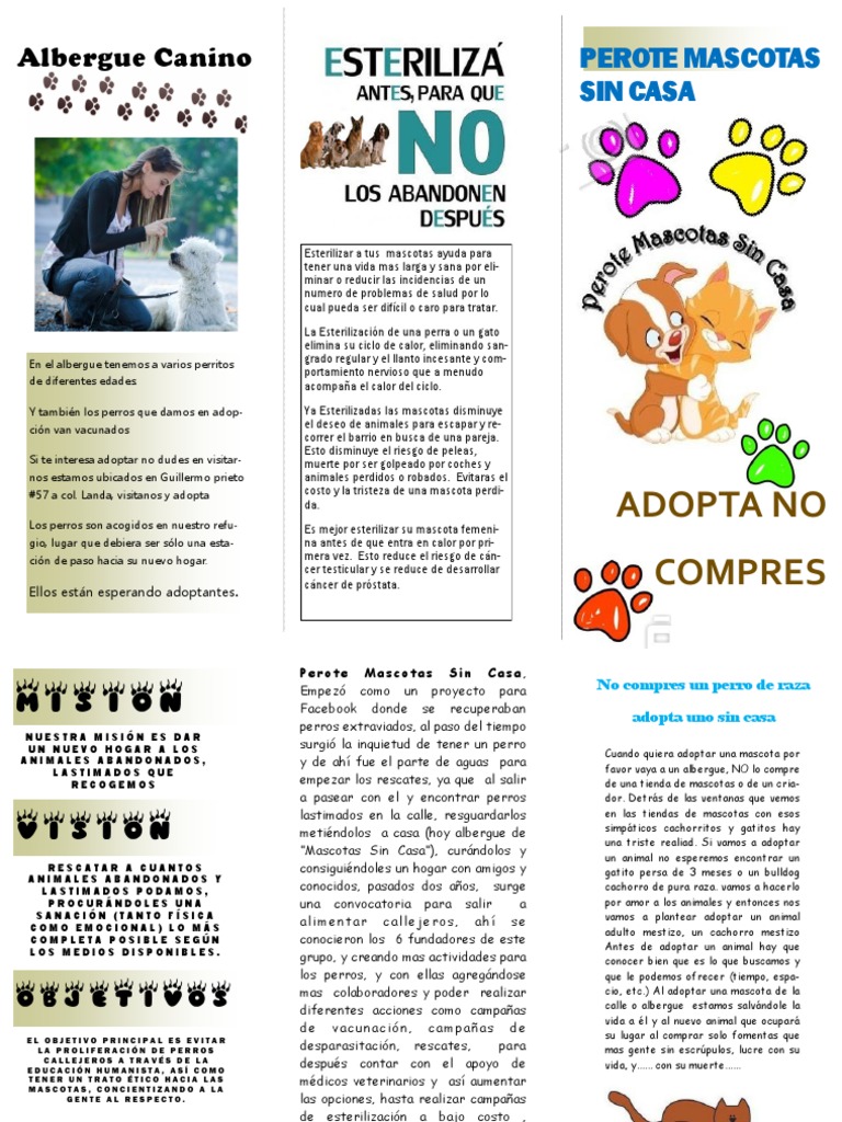 Triptico Mascota Sin Casa ALEJANDRO PDF | Mascota | Domesticación