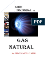 COMBUSTION_INDUSTRIAL_DE_GAS NATURAL.pdf