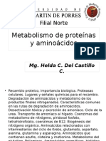 FMH - CHI - 2014 - Metabolismo de Proteínas y Aminoácidos