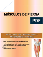 Musculos de La Pierna Info
